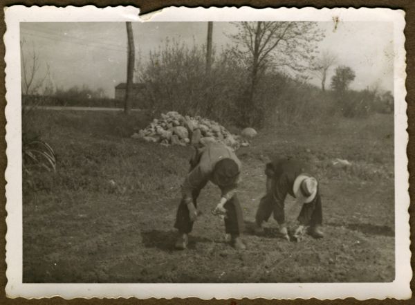 1935? Der plantes kål i engen ved broen
Mon ikke det er åen mellem Trunderup og Kværndrup 
