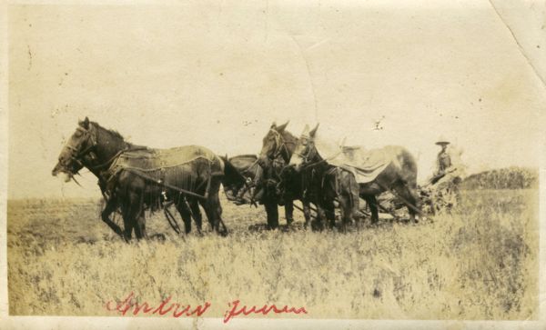 1922? Andrew Jensen, Nebraska, USA
Gift med Anna Christine Brandt, datter af Hanne Kirstine, Karls søster
Nøgleord: USA;Nebraska;andrew_jensen