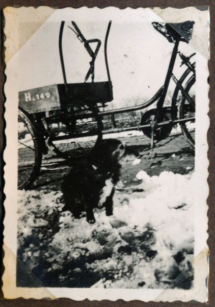 1941-03? Kissendrup
Pliniussens ladcykel og hund
