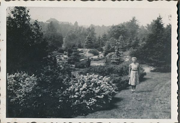 1941 - Cykelferie i Jylland
Kunne det være Botanisk Have i Århus?
Nøgleord: magna_kristensen