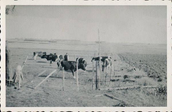 1941 - Cykelferie i Jylland
Anton og Dagnys gård i Jelstrup ved Havbro. Anton og Aase.
Nøgleord: anton_poulsen;aase_poulsen