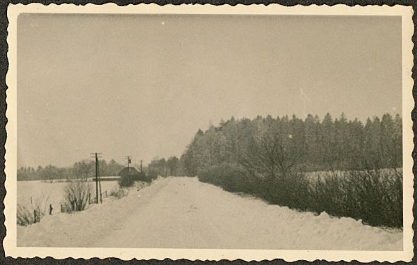 1941? Ørbæklunde
Billedtekst: "Rådyr ved Ørbæklunde"
