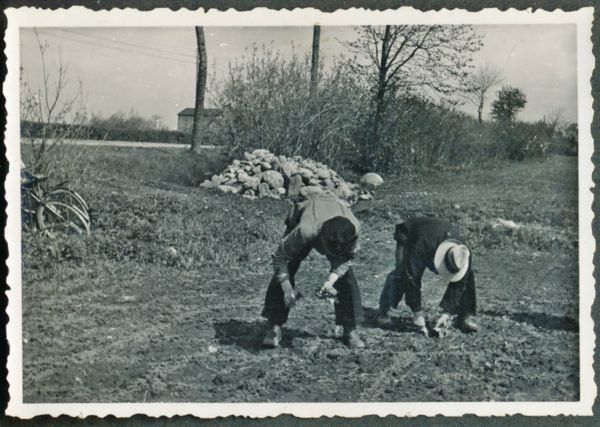 1942 Trunderup
Der plantes kål, manden med den lyse hat sandsynligvis Karl
Nøgleord: Karl