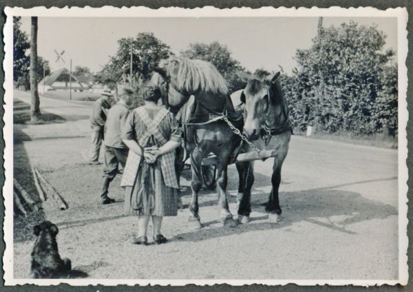 1942 Trunderup
Forberedelser til Karl og Emmas sølvbryllup 2. nov. 1942.
Emma står med ryggen til, Karl kan skimtes og sandsynligvis Verner i midten. 
Nøgleord: emma_andersen;verner_rasmussen;karl_rasmussen